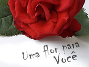 Fotos montagem de Uma Flor para Você