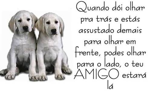 Caezinhos
