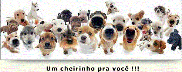 Caezinhos