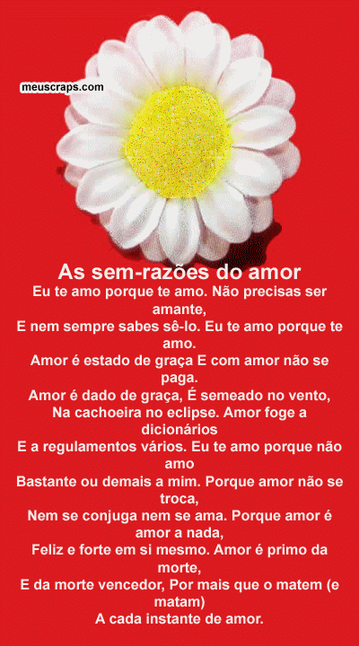 Te Amo