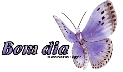 Bom Dia