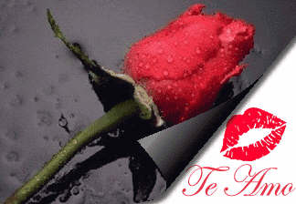 Te Amo