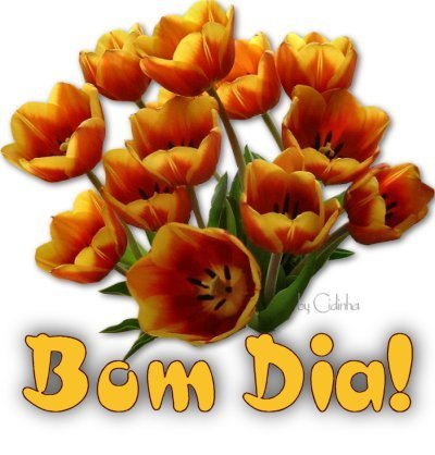 Bom Dia